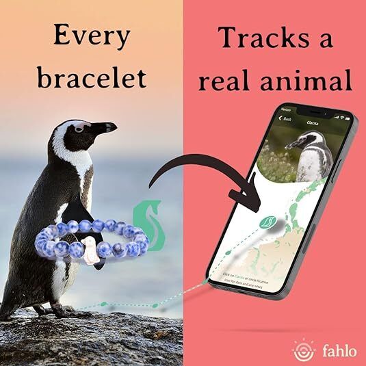🐧Fahlo Penguin Tracking Bracelet supports Global Penguin Society, Blackout🐧